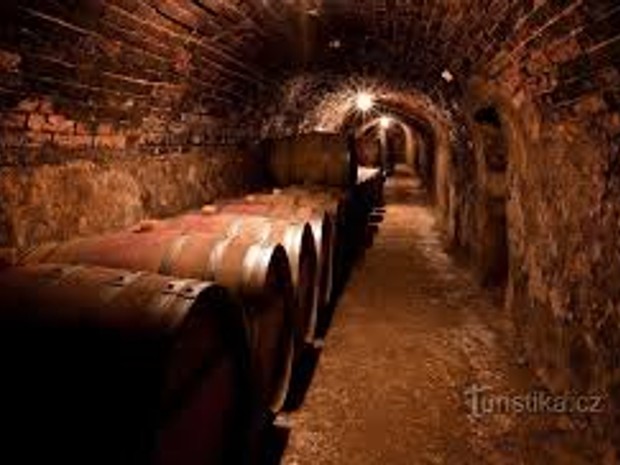 Degustace s Artevini