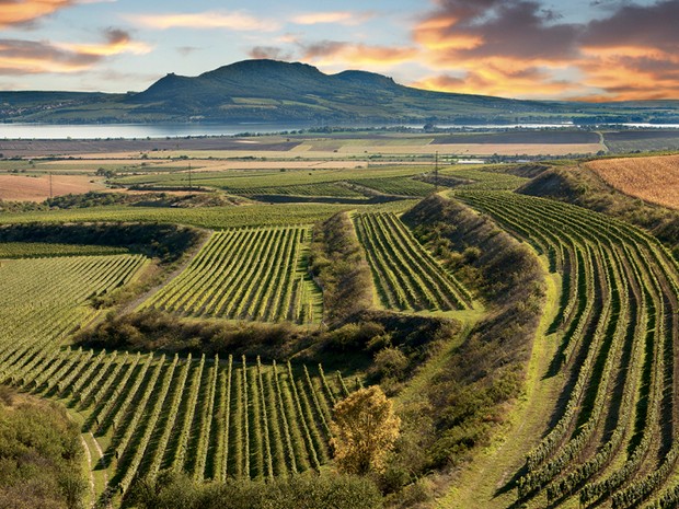 Degustace s vinařstvím Líbal