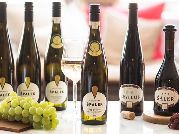 Degustace s vinařstvím Špalek