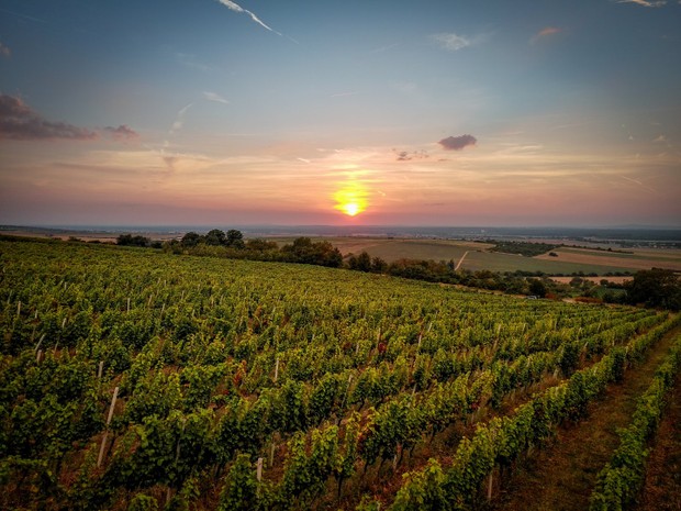 14.5.2026 Vinařství Kněží hora