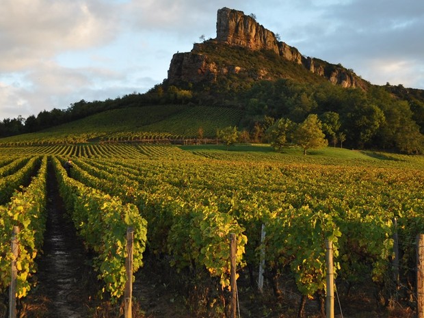 9.4.2026 Vína z jižní Rhôny